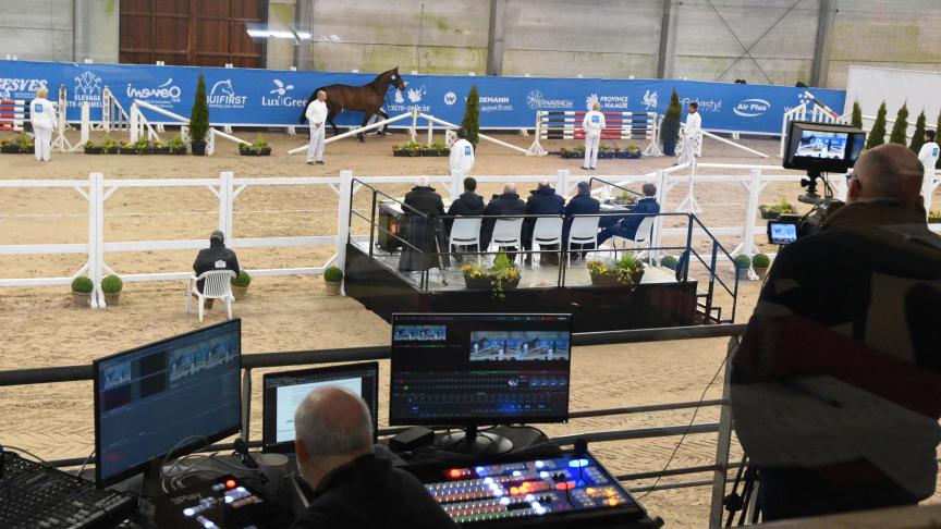 Ambiance à l’expertise  des étalons du SBS  à Gesves le samedi.