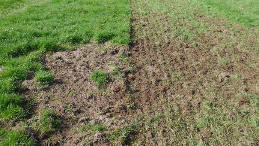 La réparation des dégâts dans la prairie suite au passage  de la machine apparaît clairement sur cette photo.