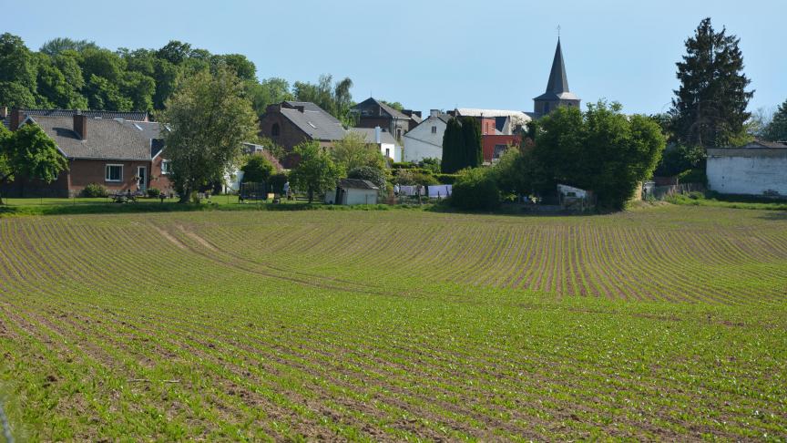 DSC_8766