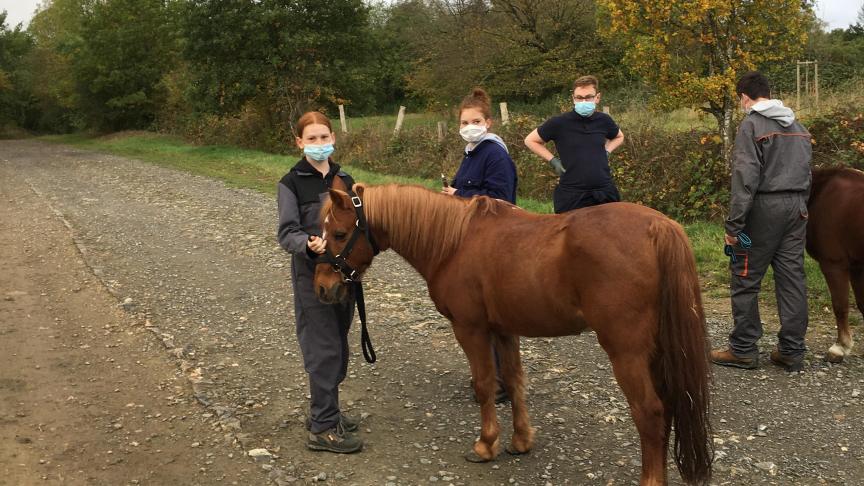 Les élèves peuvent pratiquer l’équitation dès la 1 ère  année  dans le cadre des activités complémentaires physiques et sportives.