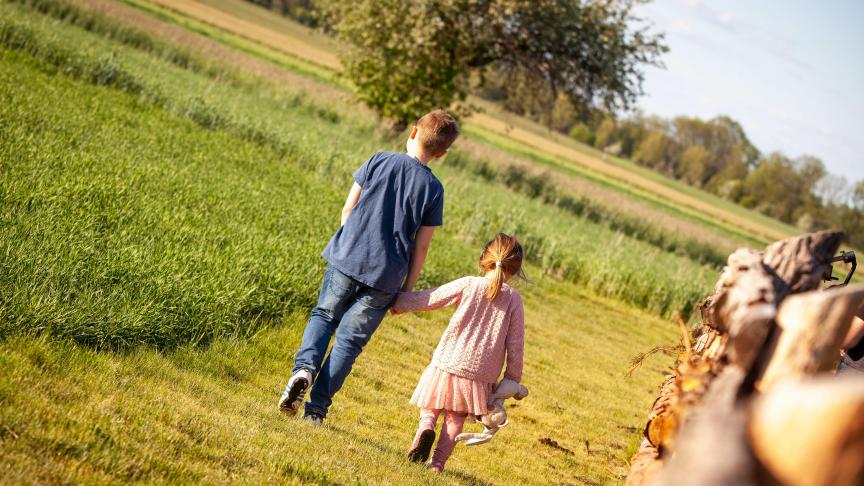 AdobeStock_495304670