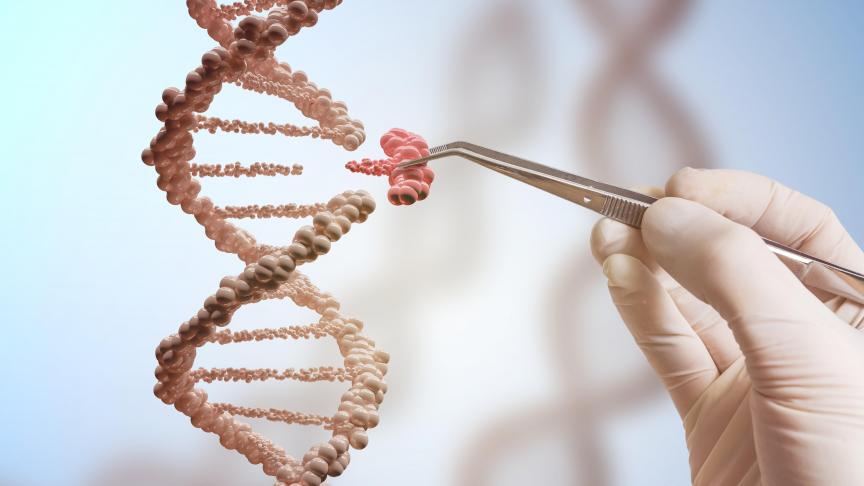 AdobeStock_141880562 (1)