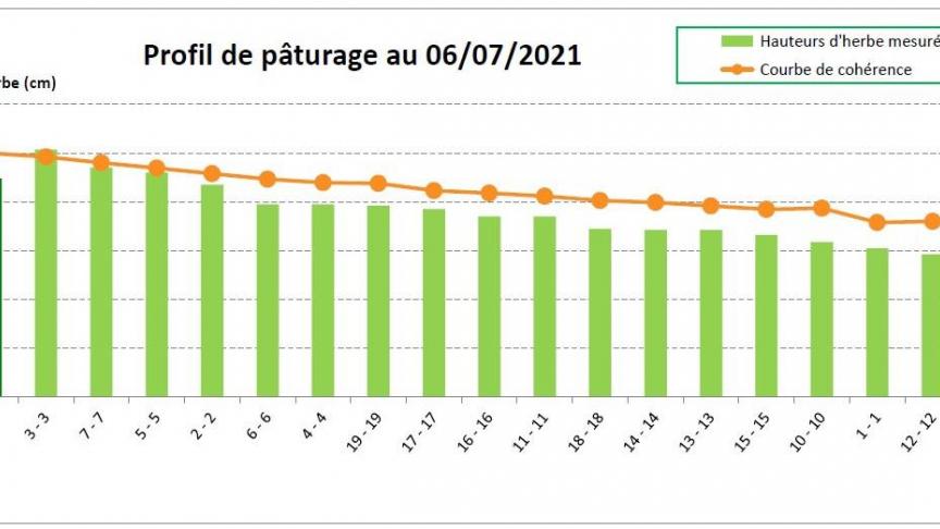 Figure 1 : exemple de profil de pâturage établi à l’aide du logiciel Pâtur’Plan avec, en abscisse, les différentes parcelles  qui entrent ans le circuit de pâturage. Les bâtonnets verts représentent l’offre en herbe et la courbe orange (« courbe de cohérence »)  représente les besoins des vaches. Ce profil de pâturage montre qu’avec cet agencement des parcelles dans le circuit de pâturage,  l’herbe viendra à manquer légèrement à partir de la parcelle 6-6. Peut-être faut-il prévoir de complémenter ?