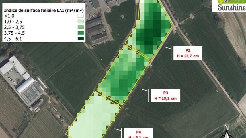 Figure 2 : distribution des valeurs de l’indice de surface foliaire LAI (m²/m²) issu d’une image du satellite Sentinel-2 (acquise le 22/04/2021) pour trois parcelles en pâturage tournant situées à Gembloux présentant des hauteurs d’herbe moyennes contrastées. Le LAI est  le nombre de m² de feuilles vertes par m² de sol : plus la valeur de l’indice est élevée et plus la quantité d’herbe présente est importante. L’information satellitaire permet de mettre  en évidence la différence entre parcelles mais également la variabilité intra-parcellaire.