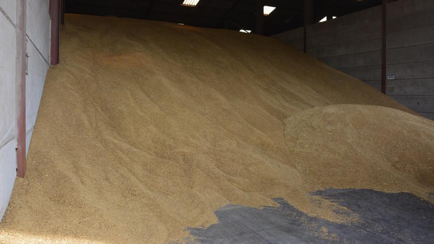 Les vols de grains sont constatés partout dans le territoire occupé.