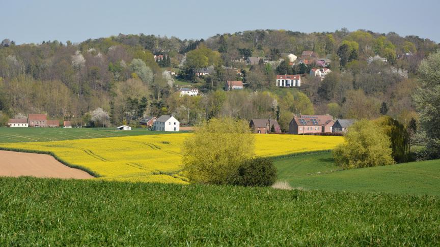 Le projet vise à restaurer la biodiversité dans les plaines agricoles de Hesbaye.