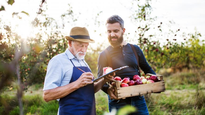 Si certains baux n’existent plus, il est impossible pour l’agriculteur de les transmettre à son fils. Certains exploitants vont devoir attendre la décision de la Cour constitutionnel pour pouvoir transmettre sereinement leur exploitation à leurs enfants