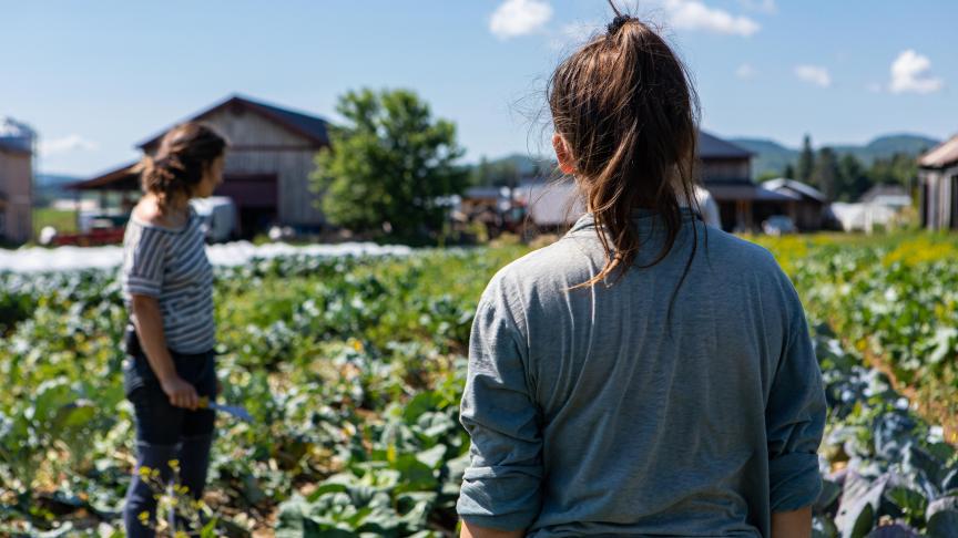 Plus de 200 activités permettront de découvrir l’agriculture bio, mais aussi celles et ceux qui sont actifs en aval, dans la transformation, la commercialisation...