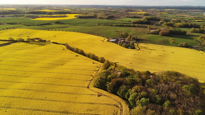 La Fop a essayé de développer la production de colza en prenant en compte l’ensemble des acteurs du secteur. Cela s’est traduit par la mise en place d’une interprofession très largement financée par les producteurs.