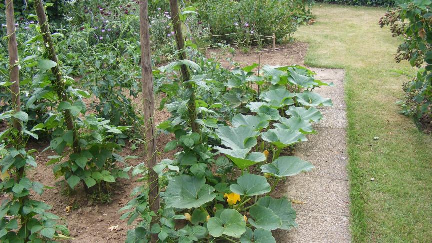 Un petit sentier permet d'accéder aussi bien au potager qu'à des espaces de repos ou de promenade. La jonction s'établit naturellement.