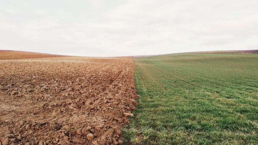 En 2022 la dérogation aux règles sur la rotation des cultures et les terres non productives a été accordée en urgence au mois de mars mais n’a pas pleinement pu être déployée.