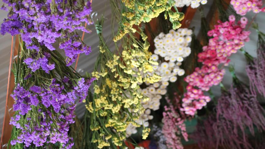 Les deux horticultrices font également sécher leurs fleurs dans leur grenier de façon naturelle. Aucune d’entre-elles ne sont traitées, blanchies ou teintées.