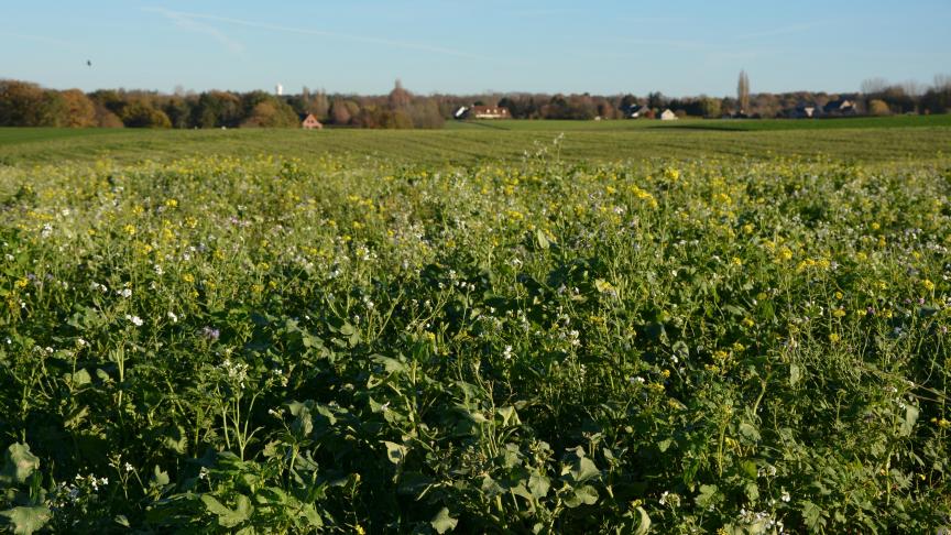 Pas moins de 35.000 t de CO 2 ont été stockés durant la campagne 2020-2021, sur une surface de plus de 22.000 ha.