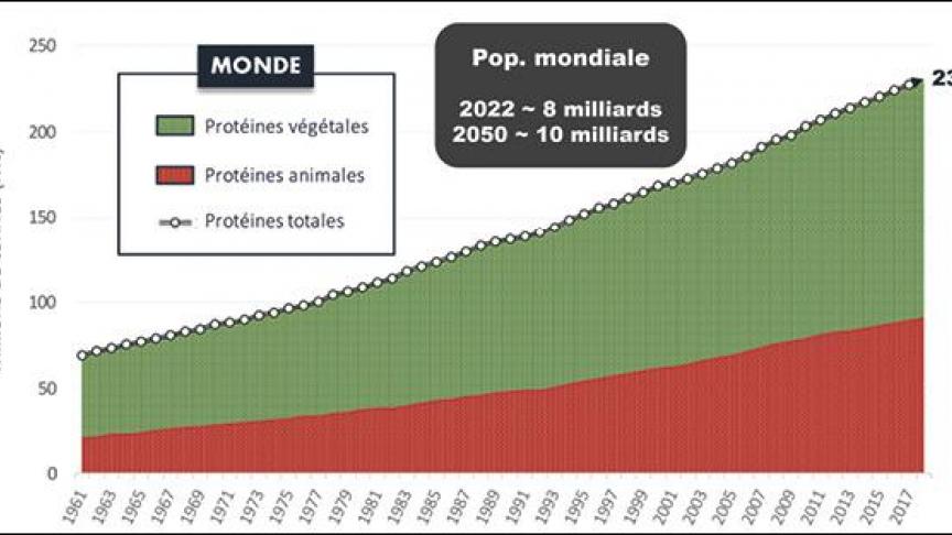 27-semiaire-proteine-01-web