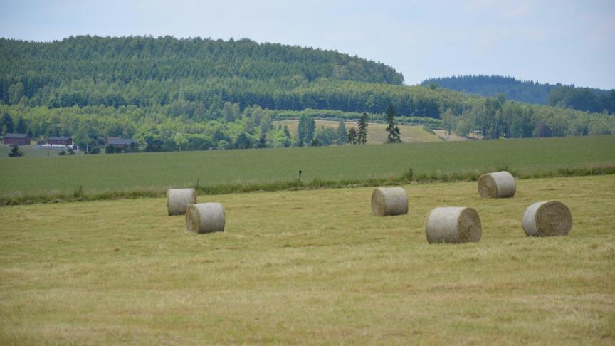 Le preneur qui a évacué les lieux loués à la suite d’un congé donné pour exploitation  personnelle a droit à sa réintégration dans les lieux loués avec dommages-intérêts celui-ci  ne se trouve pas exploité par la personne ou les personnes indiquées dans le congé  comme devant assurer cette exploitation.