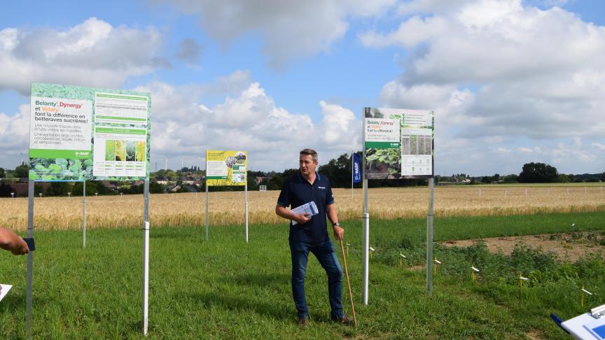Pour Bruno Burlet, crop advisor Basf, le Belanty (aussi nommé Dynergy et Velary) représente une solution alternative et supplémentaire intéressante pour la protection fongicide des betteraves et pommes de terre.