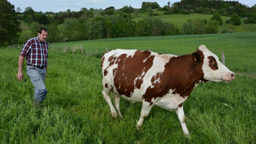 « Nous étions éleveurs et non cultivateurs. En intégrant un réseau d’agriculteurs, nous pouvons faire des choix techniques  avec plus de facilité car tout un chacun apprend des erreurs et réussites des autres », témoigne Jean-Pierre.