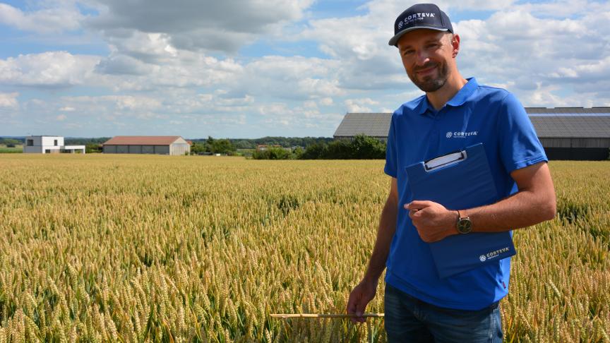 En céréales, Frederik De Witte insiste sur l’importance de positionner son T1  au moment le plus opportun et de l’associer avec les partenaires adéquats.