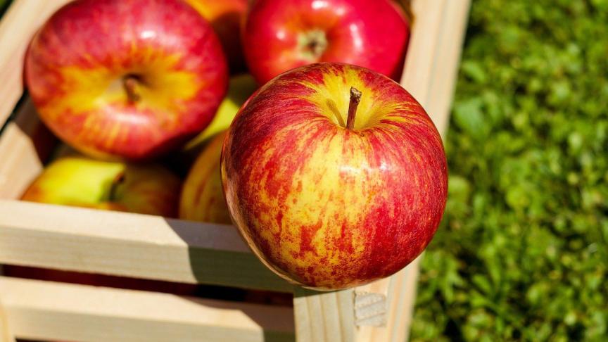 apple-1589874_1920