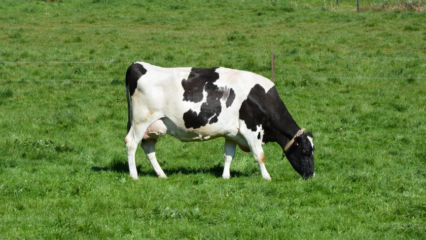 Les négociations sur l’agriculture ont été particulièrement compliquées, mais de généreuses incitations financières ont été promises par le gouvernement irlandais.