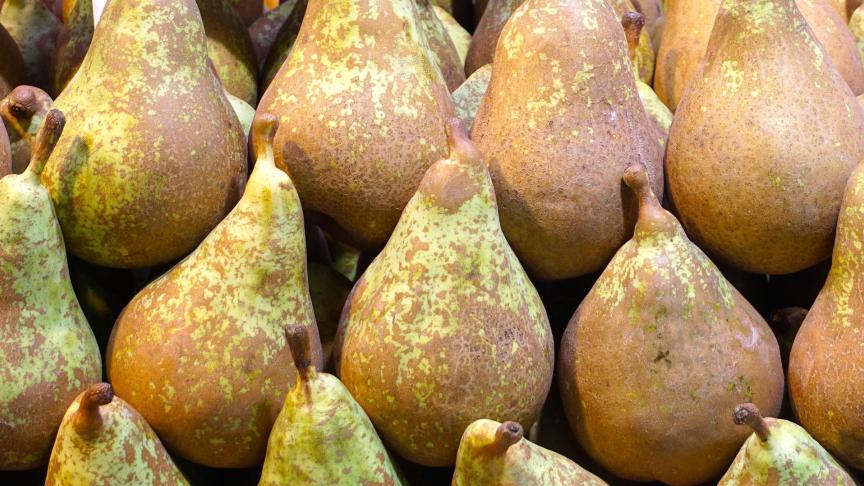 pears-g6aa153126_1920