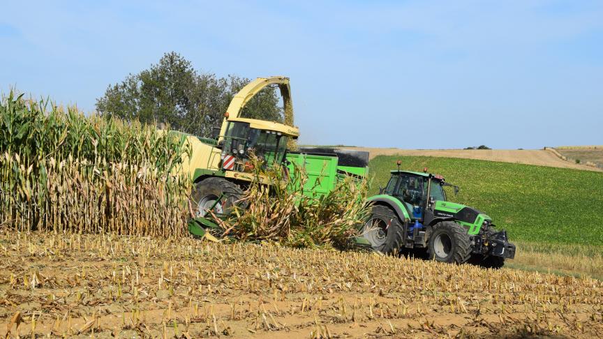 Partout en Wallonie et vu les fortes progressions encore enregistrées la semaine passée, le risque de récolter certaines parcelles à surmaturité est important dans bien des fermes, alerte le Centre pilote maïs.