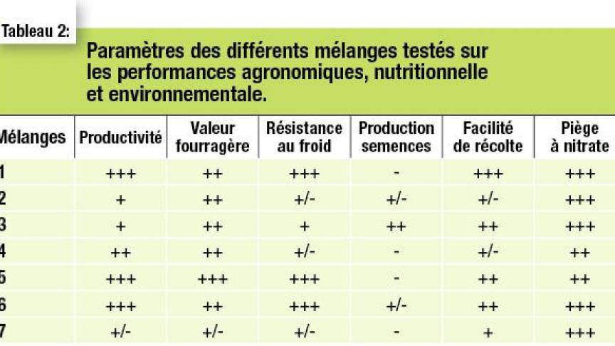 1 : Associations graminées – légumineuses : 1. Ray-grass d’Italie et trèfle incarnat ; 2. Avoine de printemps, pois fourrager d’hiver et vesce commune d’hiver ; 3. Avoine d’hiver et féverole d’hiver ; 4. Avoine brésilienne et vesce velue ; 5. Seigle multicaule, vesce commune d’hiver et trèfle incarnat ; 6. Seigle fourrager, pois fourrager d’hiver, vesce commune d’hiver et féverole d’hiver ; 7. Radis fourrager, phacélie et vesce commune d’hiver.