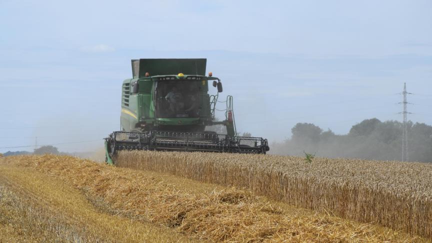 Au rendement agronomique, il faut toujours préférer le rendement économique. Le choix résultera donc d’un compromis entre plusieurs objectifs : assurer le rendement, limiter les risques et assurer les débouchés. D.J.