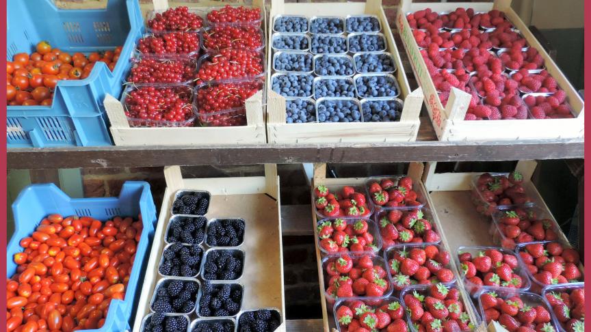 Dans le magasin à la ferme, qu’il s’agisse de fruits ou de légumes, le client trouve son bonheur.