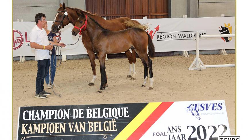 Gagnant des poulains option obstacle: Cody du Mas d’Eole Z (Corydon van T&L x Dieu Merci van T&L).