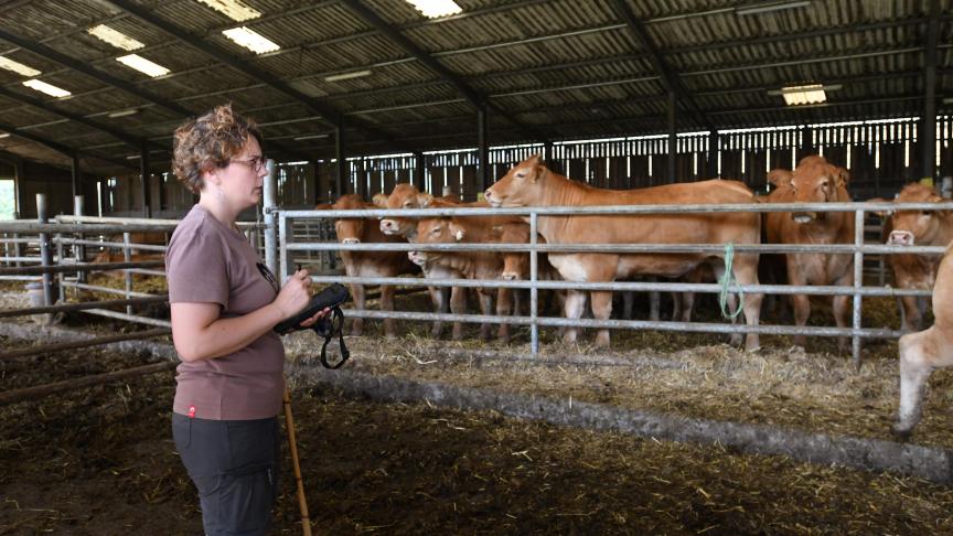 Le pointage des vaches à la station de Moussours.