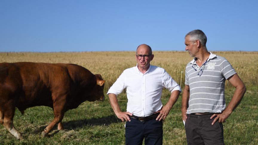 De gauche à droite: Vincent Rabeux et Olivier Lasternas, respectivement présidents des Herd-books limousins belge et français.