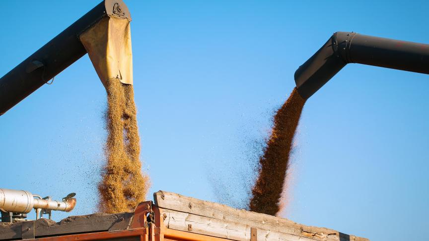 Les importations de l’UE en provenance d’Ukraine ont augmenté de 61 % au premier semestre en glissement annuel, soit un montant total de 4,4 milliards €.