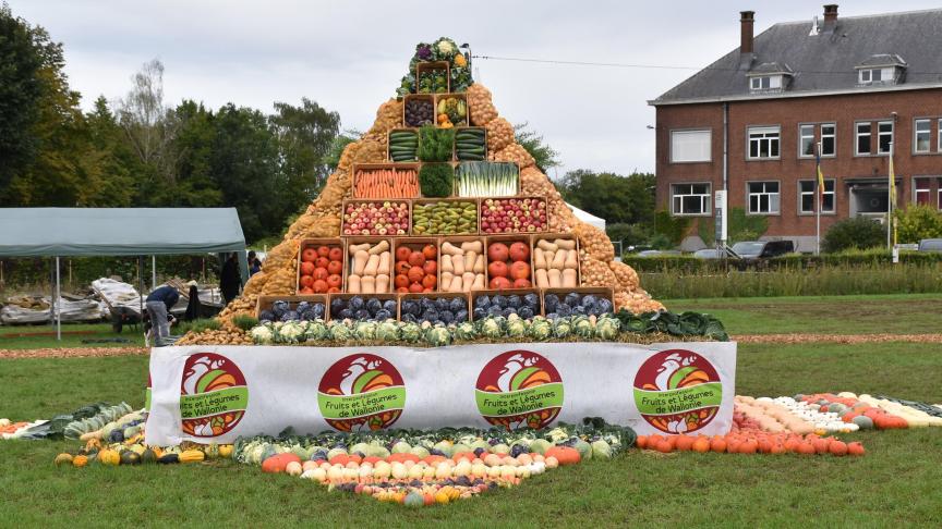 L’horticulture est un secteur qui compte dans le paysage de notre région, que ce soit en superficies, 23.600 hectares, soit 3,2% de la SAU wallonne qu’en main d’œuvre, domaine dans lequel elle est particulièrement gourmande.