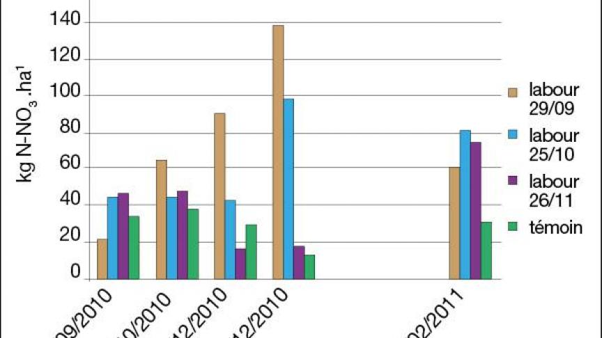 Figure 1:Evolution du reliquat azoté au cours de l'arrière-saison en fonction de la date de destruction (labour) de la prairie permanente. Le témoin est une prairie permanente non détruite.