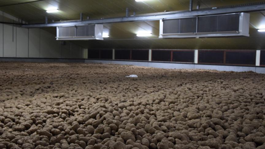 Les stocks au 15 novembre étaient évalués à environ 2,92 Mt, plus faibles que toutes les années récentes. Et il reste particulièrement peu de pommes de terre libres dans les hangars belges.