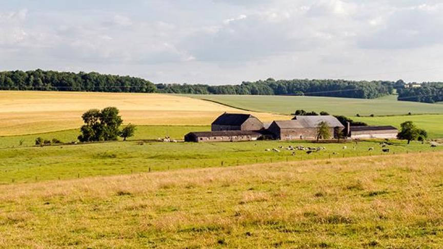 Pour rappel, l’Apaq-w utilise a minima la totalité des cotisations perçues au niveau de chaque secteur pour la mise en place d’actions et de campagnes de promotion variées en faveur du secteur concerné et dont les cotisants pourront bénéficier.